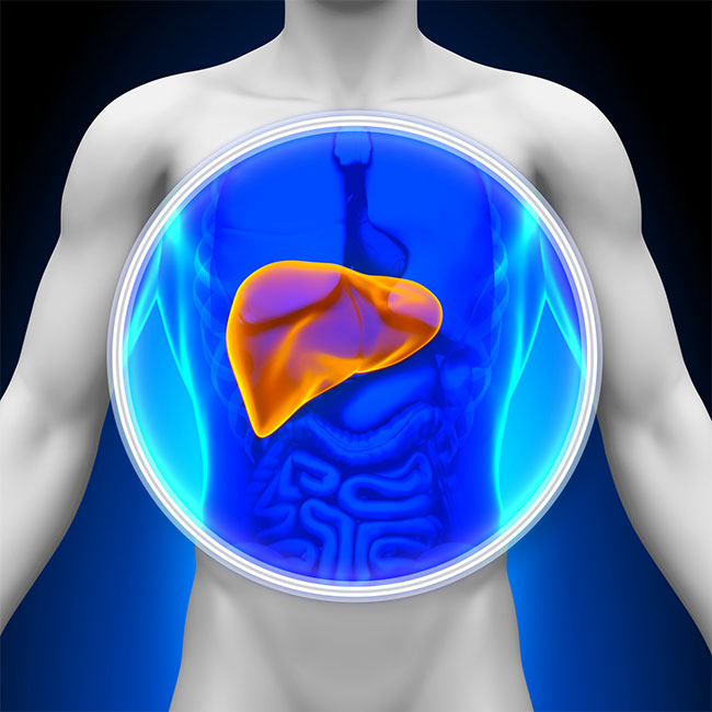 8-ways-to-reduce-liver-enzymes-simply-can-be-done