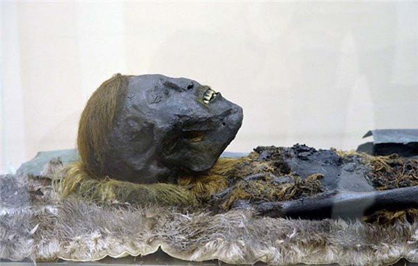 Picture 3 of 800-year-old mummy DNA test to find relatives