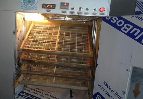 Picture 1 of 8X farmer produces an incubator with 98% hatching rate