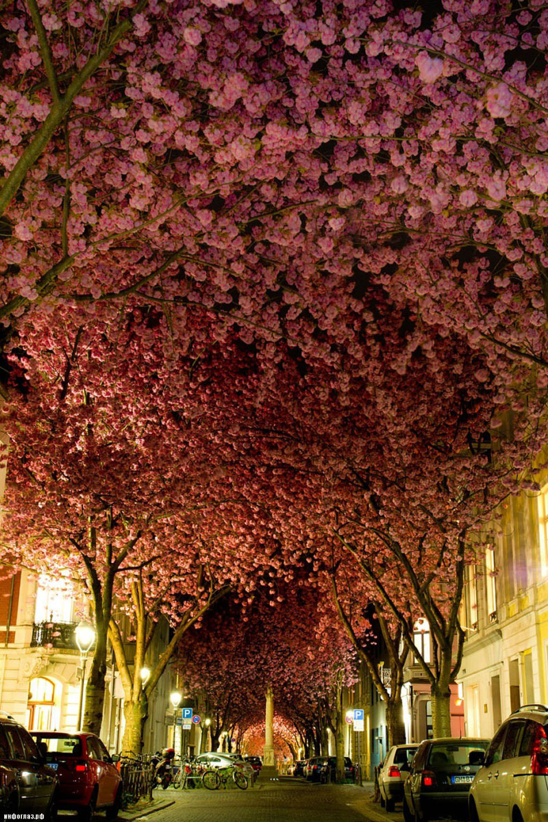 Picture 1 of 9 beautiful paths of love in the world