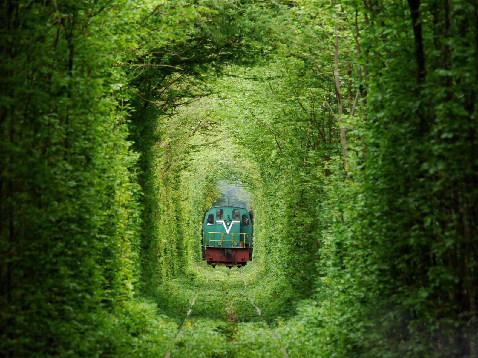Picture 11 of 9 beautiful paths of love in the world