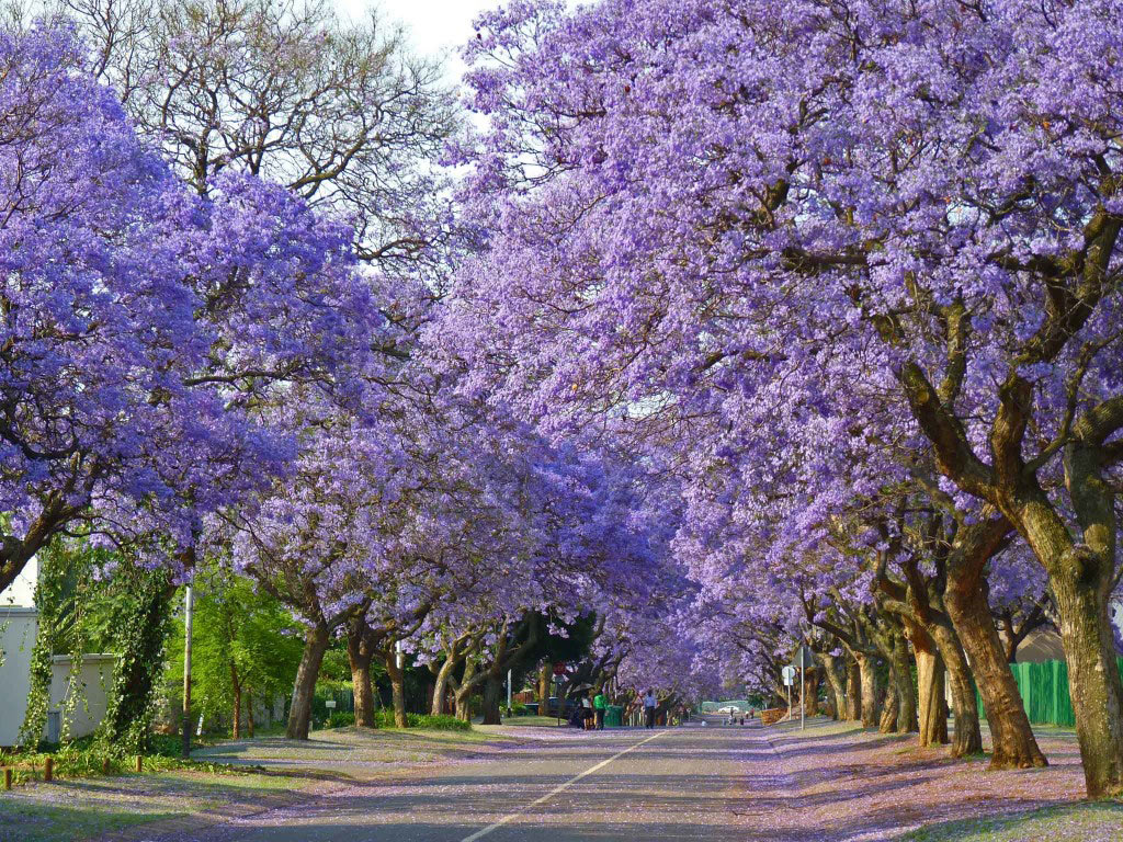 Picture 13 of 9 beautiful paths of love in the world