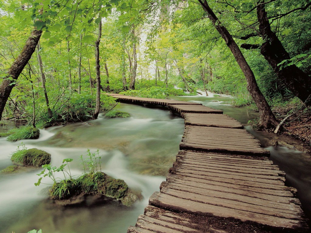 Picture 17 of 9 beautiful paths of love in the world
