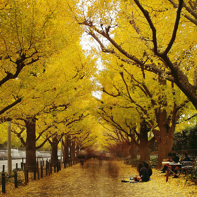 Picture 18 of 9 beautiful paths of love in the world