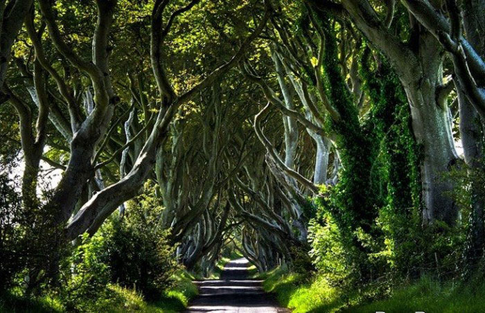 Picture 21 of 9 beautiful paths of love in the world