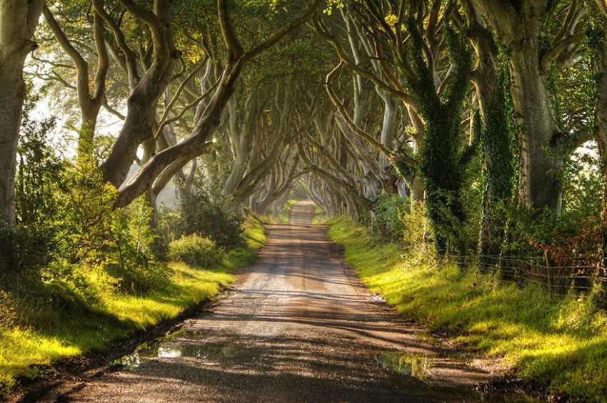 Picture 22 of 9 beautiful paths of love in the world