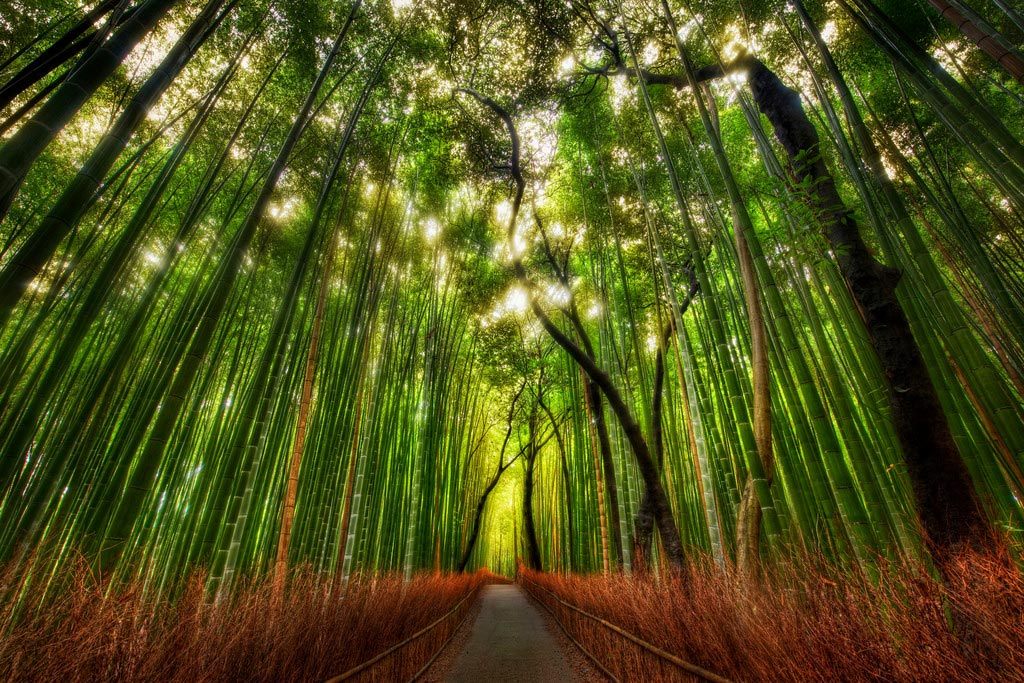 Picture 23 of 9 beautiful paths of love in the world