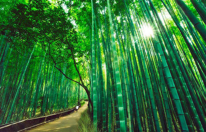 Picture 24 of 9 beautiful paths of love in the world