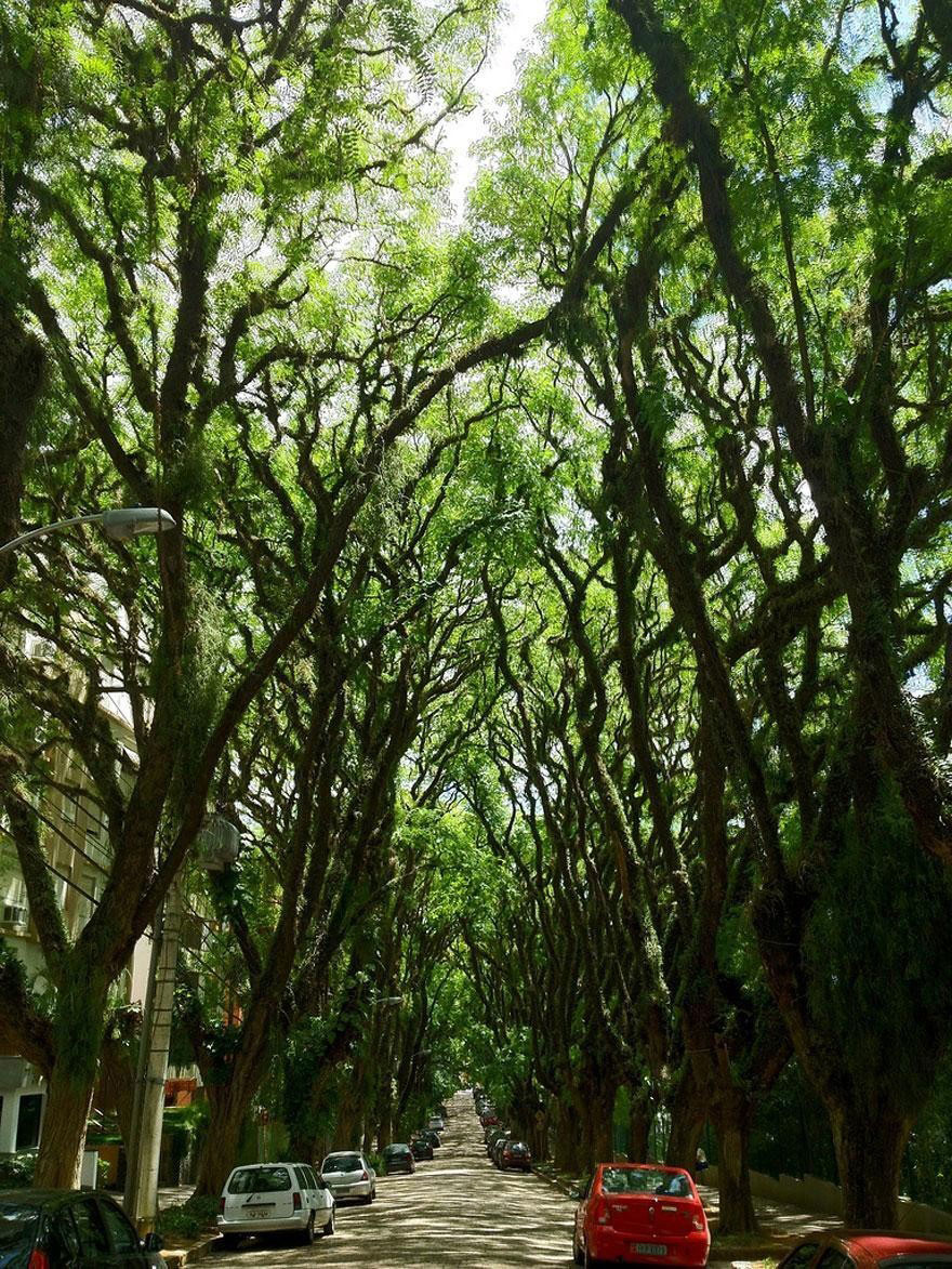 Picture 26 of 9 beautiful paths of love in the world