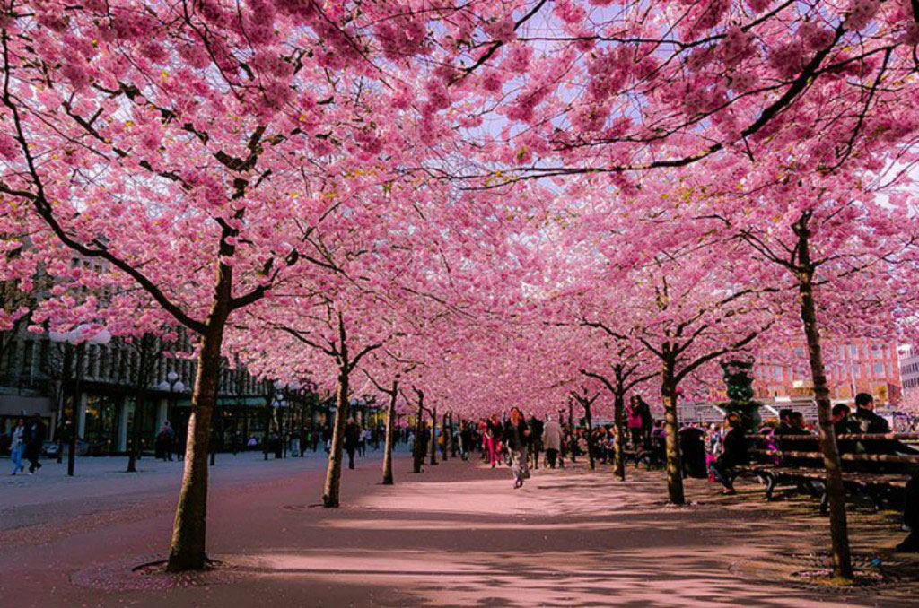 Picture 3 of 9 beautiful paths of love in the world