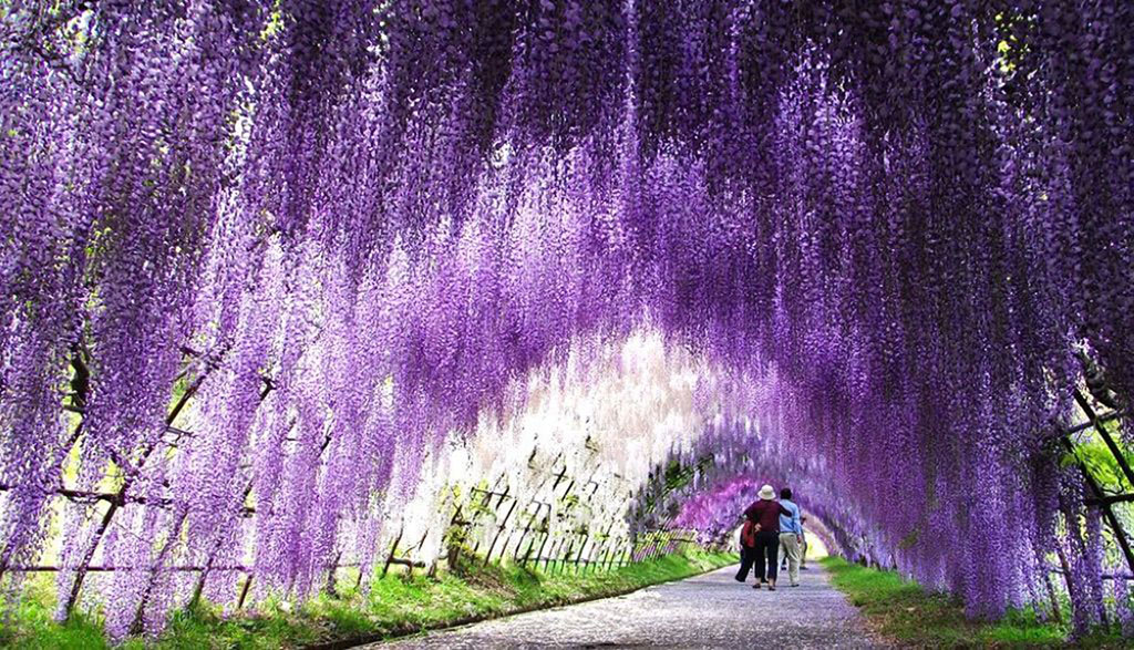 Picture 5 of 9 beautiful paths of love in the world