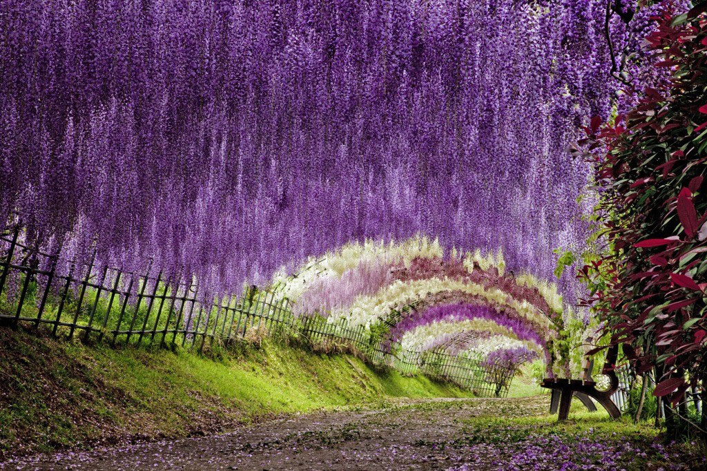 Picture 6 of 9 beautiful paths of love in the world