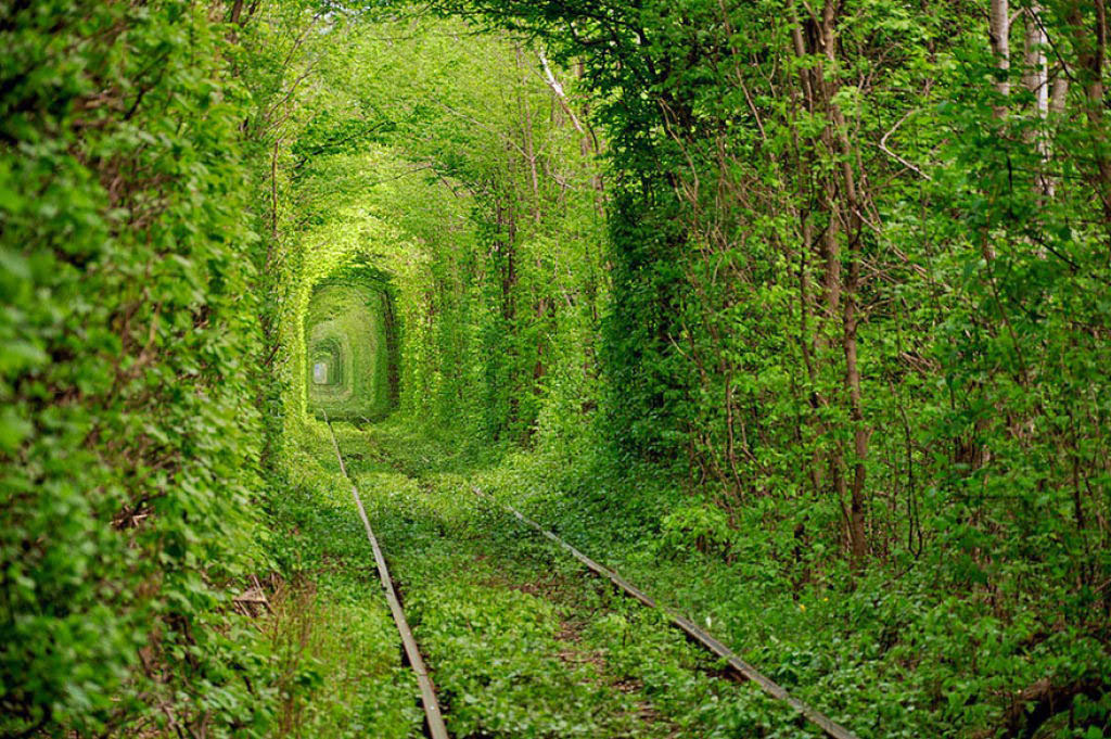 Picture 8 of 9 beautiful paths of love in the world