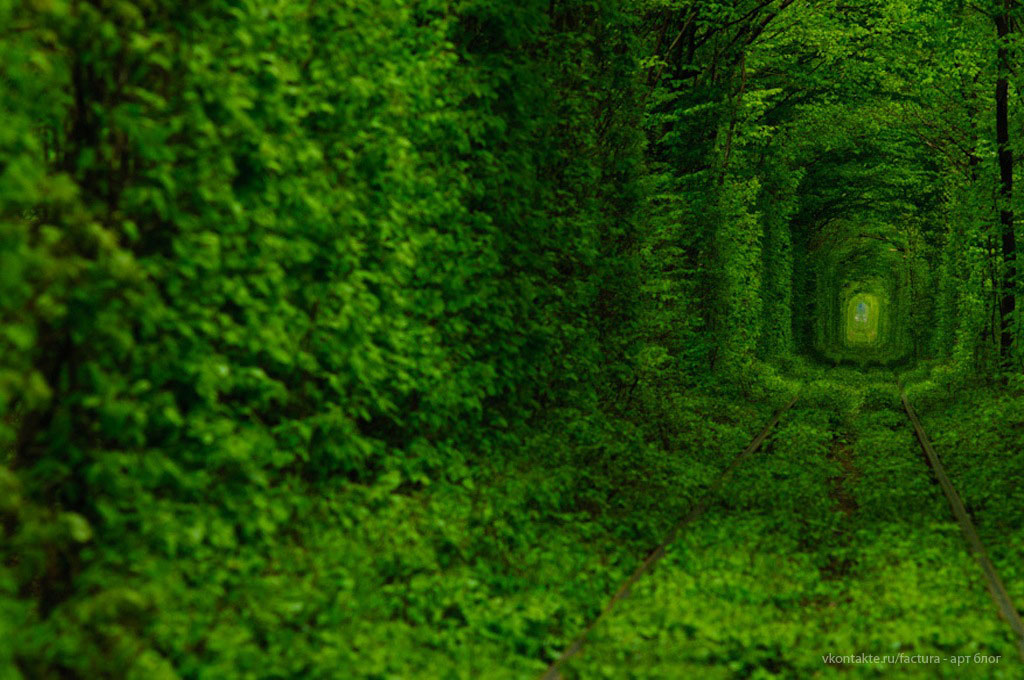 Picture 9 of 9 beautiful paths of love in the world