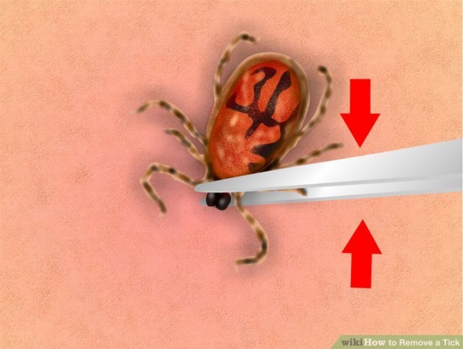 Picture 3 of 9 essential tips can save you in emergencies