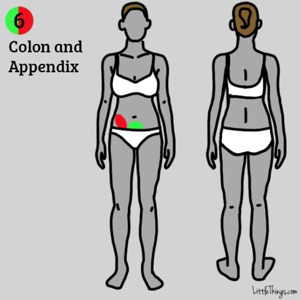 Picture 6 of 9 groups of diseases can be detected by location of pain