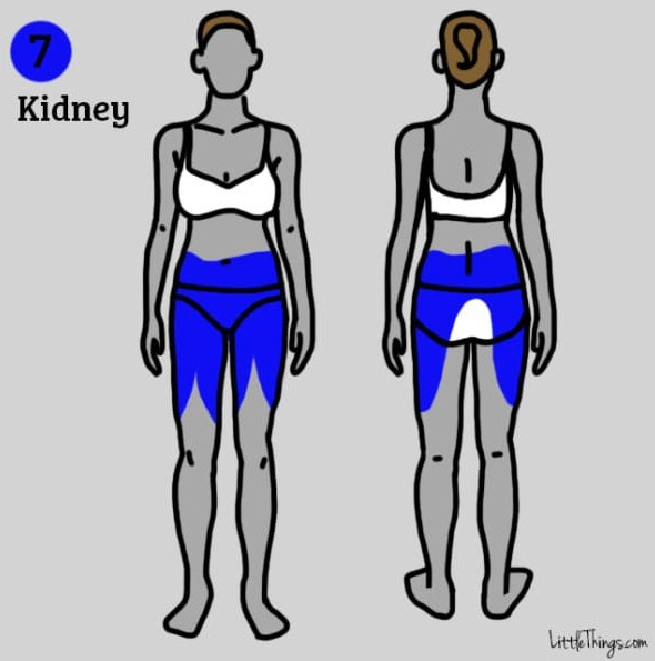Picture 7 of 9 groups of diseases can be detected by location of pain