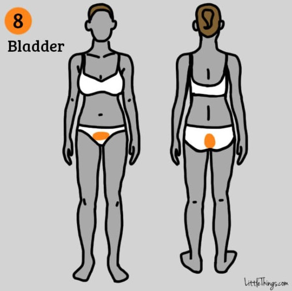 Picture 8 of 9 groups of diseases can be detected by location of pain