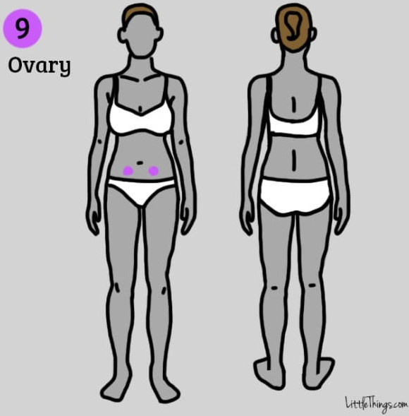 Picture 9 of 9 groups of diseases can be detected by location of pain