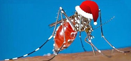 Picture 5 of 9 interesting facts about mosquitoes