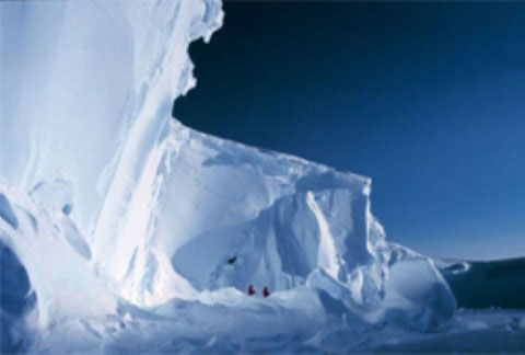 Picture 3 of 9 interesting things about Antarctica and Arctic
