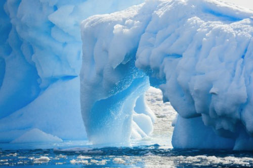 Picture 8 of 9 interesting things about Antarctica and Arctic