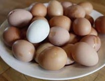 Picture 1 of 9 most common misunderstandings about food