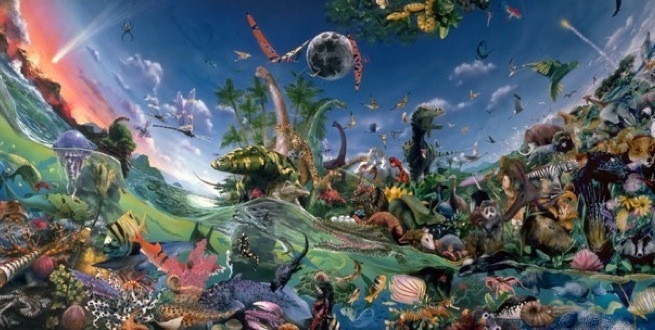 Picture 3 of 9 reasons Darwin's theory of evolution is wrong
