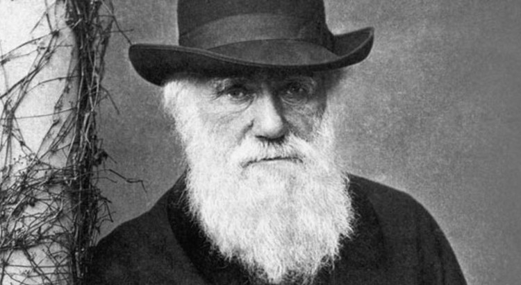 Picture 5 of 9 reasons Darwin's theory of evolution is wrong