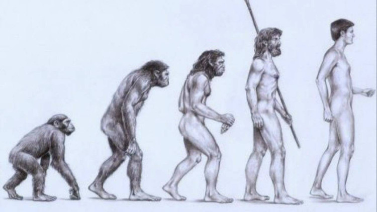 Picture 6 of 9 reasons Darwin's theory of evolution is wrong