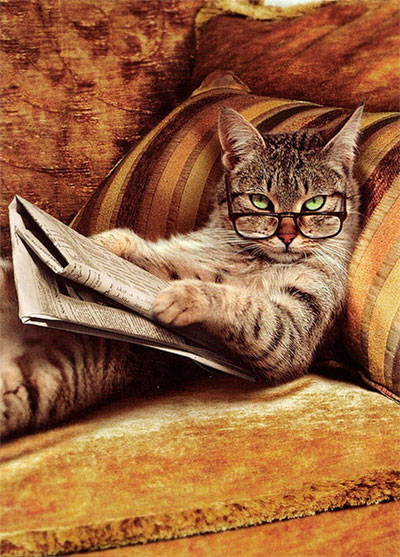 Picture 4 of 9 truths 'cause sock' dedicated to cat lovers