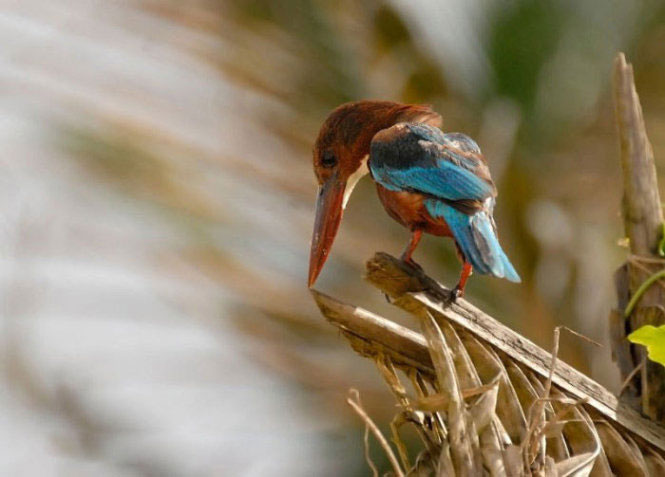 Picture 14 of 9 years old, won the international young photographer award