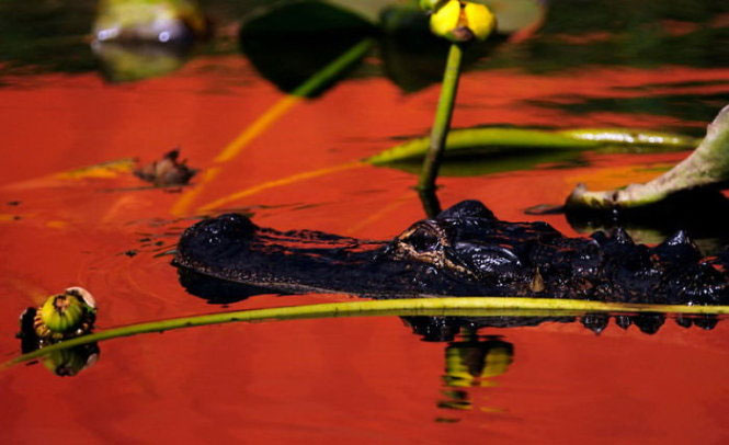Picture 6 of 9 years old, won the international young photographer award