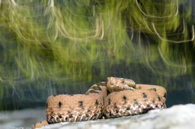 Picture 7 of 9 years old, won the international young photographer award