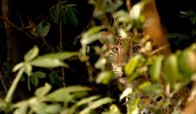 Picture 9 of 9 years old, won the international young photographer award
