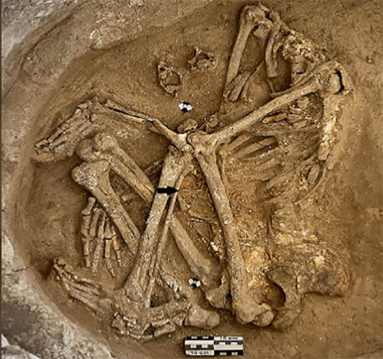 Picture 1 of 9,000-year-old remains reveal the collapse of the old city