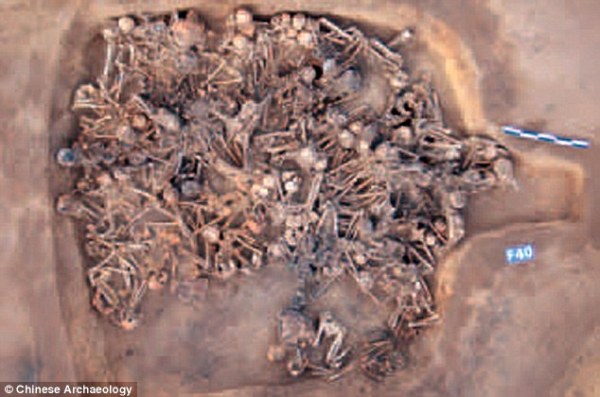 Picture 1 of 97 5,000-year-old remains were deformed in a house of 20 square meters