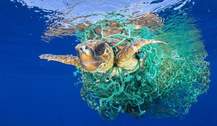Picture 3 of 99.99% of plastic garbage on the sea turned out to be deep in the ocean without us knowing