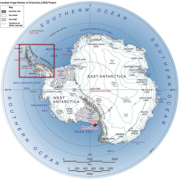 Picture 2 of A 300km ice block suddenly melted in the Antarctic Peninsula