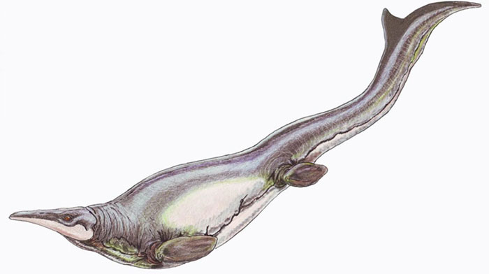 Picture 1 of A 66 million-year-old sea monster has a unique swimming pattern on Earth
