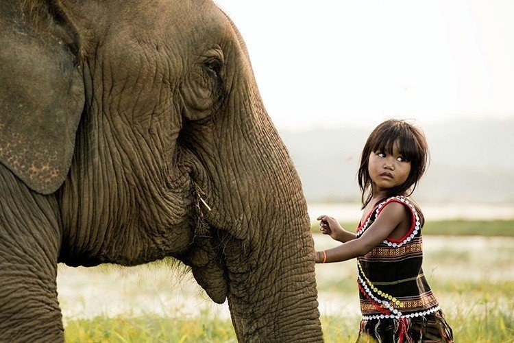 Picture 7 of A beautiful set of photos about Vietnamese peoples in American newspapers