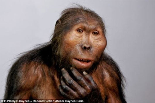 Picture 4 of A close-up picture of the original human image