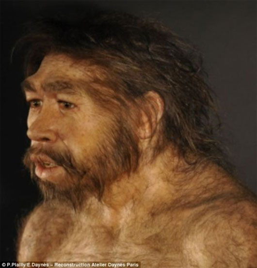 Picture 5 of A close-up picture of the original human image