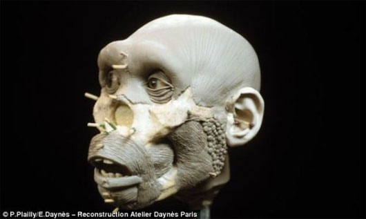 Picture 6 of A close-up picture of the original human image