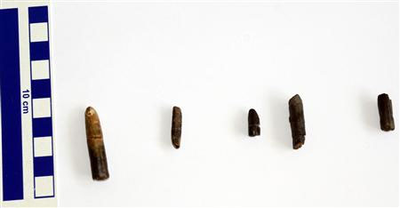 A discovery that shocked Japanese archaeological circles images 1
