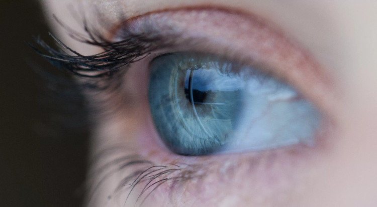 Picture 1 of A fake agency mimics what happens in a blink of an eye