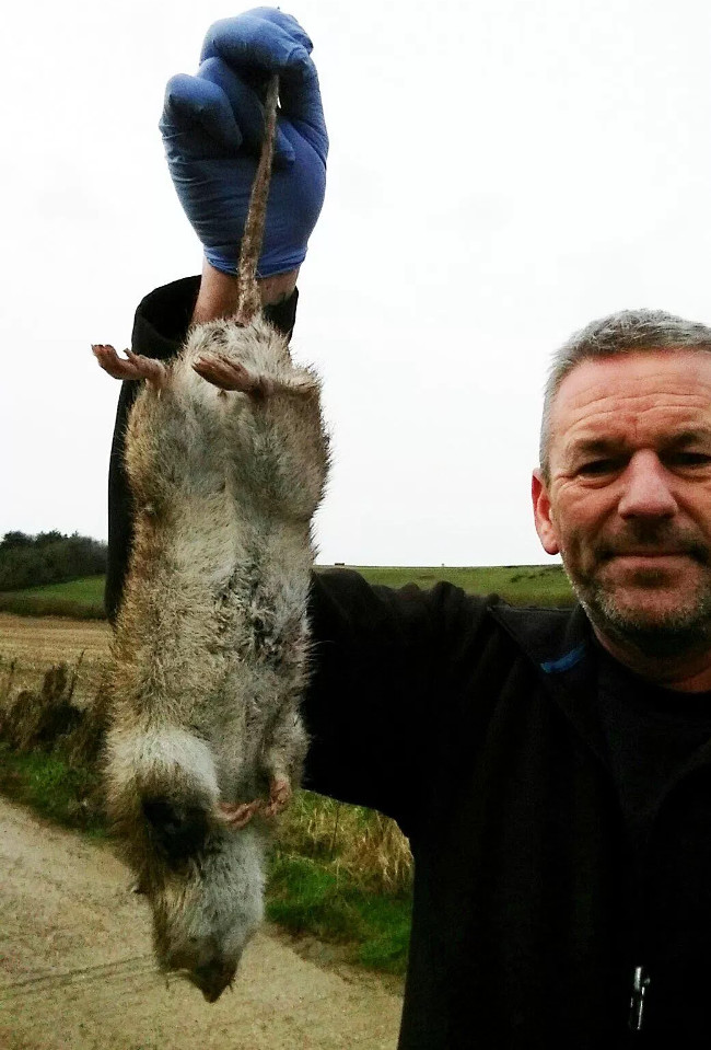 Picture 1 of A half-meter-long corpse made the British confused