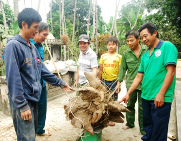 Picture 2 of A huge dragon ball of 73kg weighs 73kg in Nghe An
