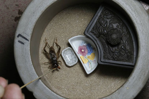 Picture 3 of A lot of things about ancient Chinese cricket cages: Great artifacts of mankind