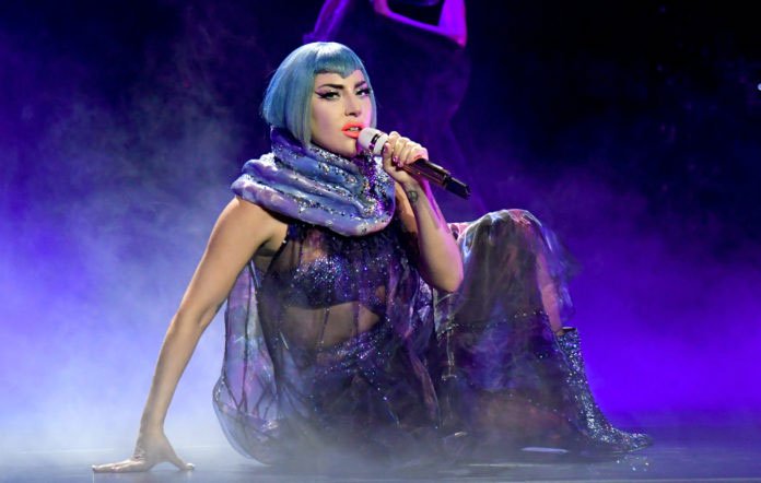Picture 1 of A new insect named after the singer Lady Gaga